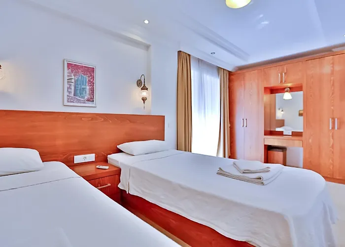 فيلة Luxury Close To The